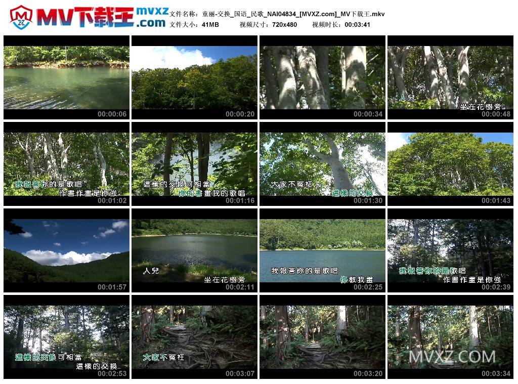 童丽-交换_国语_民歌_NAI04834